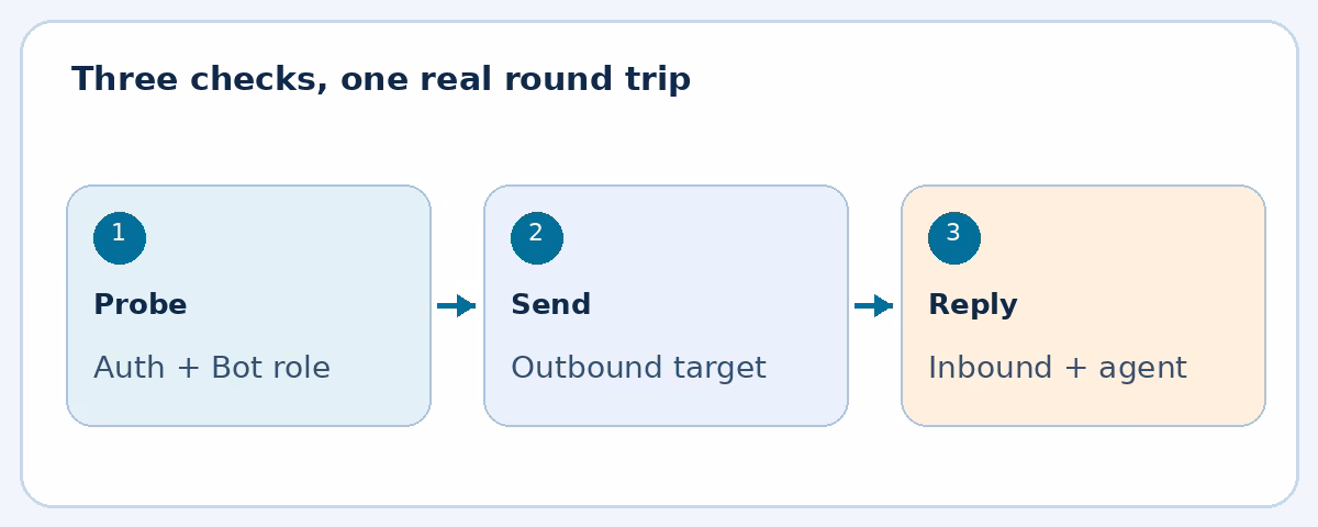 Probe, outbound send and inbound reply checks for a Buzz connection